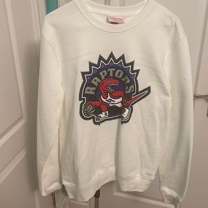 Men’s small raptors sweater